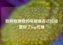 如何检测我的电脑是否已经设置好了http代理