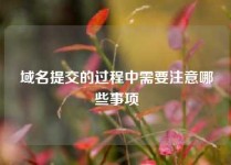 域名提交的过程中需要注意哪些事项