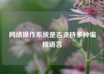 网络操作系统是否支持多种编程语言