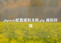 phpstudy配置虚拟主机,php 虚拟环境