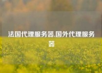 法国代理服务器,国外代理服务器