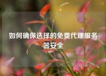 如何确保选择的免费代理服务器安全