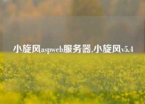 小旋风aspweb服务器,小旋风v5.4