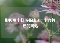 如何用个性域名建立一个有特色的网站