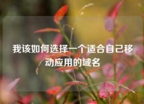 我该如何选择一个适合自己移动应用的域名