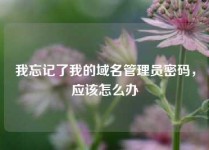 我忘记了我的域名管理员密码，应该怎么办