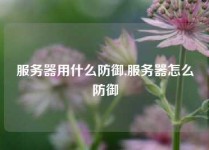 服务器用什么防御,服务器怎么防御