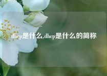 dhcp是什么,dhcp是什么的简称