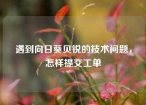 遇到向日葵贝锐的技术问题，怎样提交工单