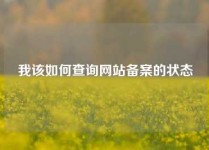 我该如何查询网站备案的状态