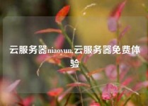 云服务器niaoyun,云服务器免费体验