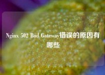Nginx 502 Bad Gateway错误的原因有哪些