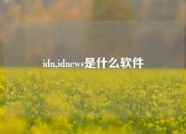 idn,idnews是什么软件