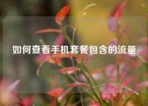 如何查看手机套餐包含的流量