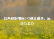 如果我的电脑DNS设置错误，应该怎么办