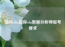 国际cdn,国际cda数据分析师报考要求
