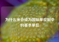 为什么米会成为国际单位制中的基本单位