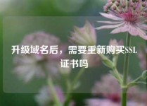 升级域名后，需要重新购买SSL证书吗