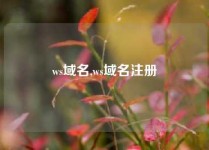 ws域名,ws域名注册