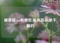 服务器cpu有哪些,服务器cpu是干嘛的