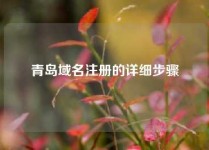 青岛域名注册的详细步骤