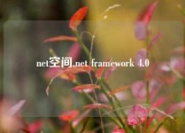 net空间,net framework 4.0