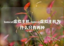 tomcat虚拟主机,tomcat虚拟主机为什么只有两种