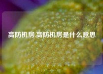 高防机房,高防机房是什么意思