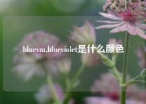 bluevm,blueviolet是什么颜色