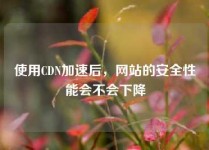 使用CDN加速后，网站的安全性能会不会下降