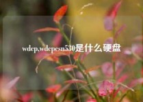 wdcp,wdcpcsn530是什么硬盘
