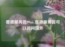 香港服务器99idc,香港服务器可以访问国外