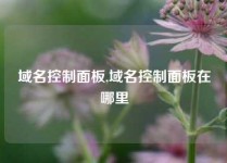 域名控制面板,域名控制面板在哪里