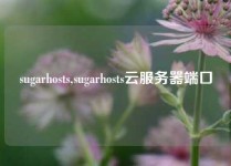 sugarhosts,sugarhosts云服务器端口