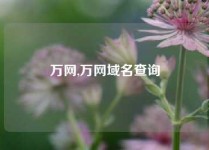 万网,万网域名查询