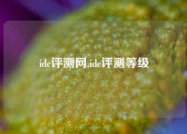 idc评测网,idc评测等级