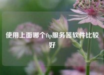 使用上面哪个ftp服务器软件比较好