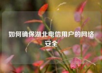 如何确保湖北电信用户的网络安全