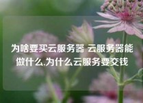 为啥要买云服务器 云服务器能做什么,为什么云服务要交钱