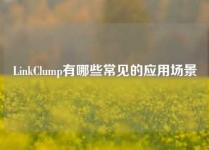LinkClump有哪些常见的应用场景
