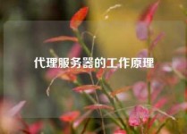 代理服务器的工作原理
