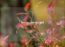 locvps,locvps.net