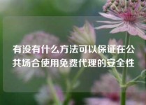 有没有什么方法可以保证在公共场合使用免费代理的安全性