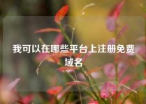 我可以在哪些平台上注册免费域名