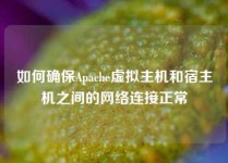 如何确保Apache虚拟主机和宿主机之间的网络连接正常