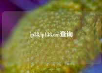 ip38,ip138.cm查询