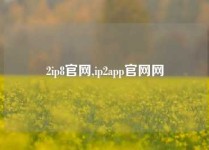 2ip8官网,ip2app官网网