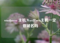 wordpress 主机,WordPress主机一定要域名吗