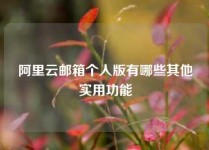 阿里云邮箱个人版有哪些其他实用功能