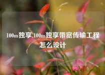 100m独享,100m独享带宽传输工程怎么设计